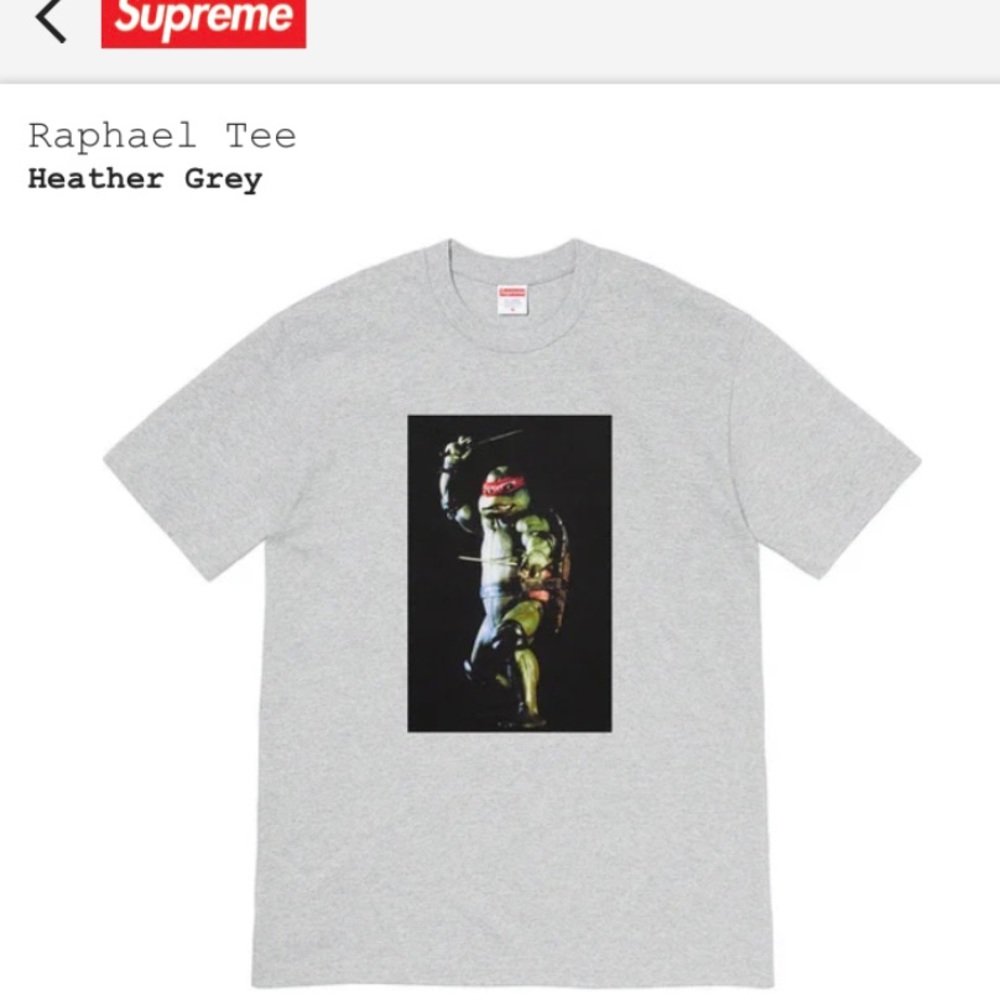 Supreme Raphael Tshirt